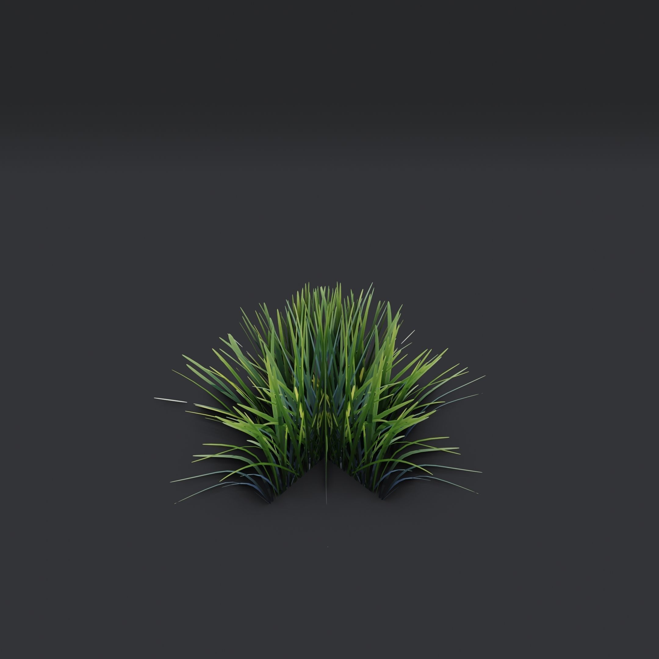 Lowpoly Simple Grass Low-poly 3D model_4