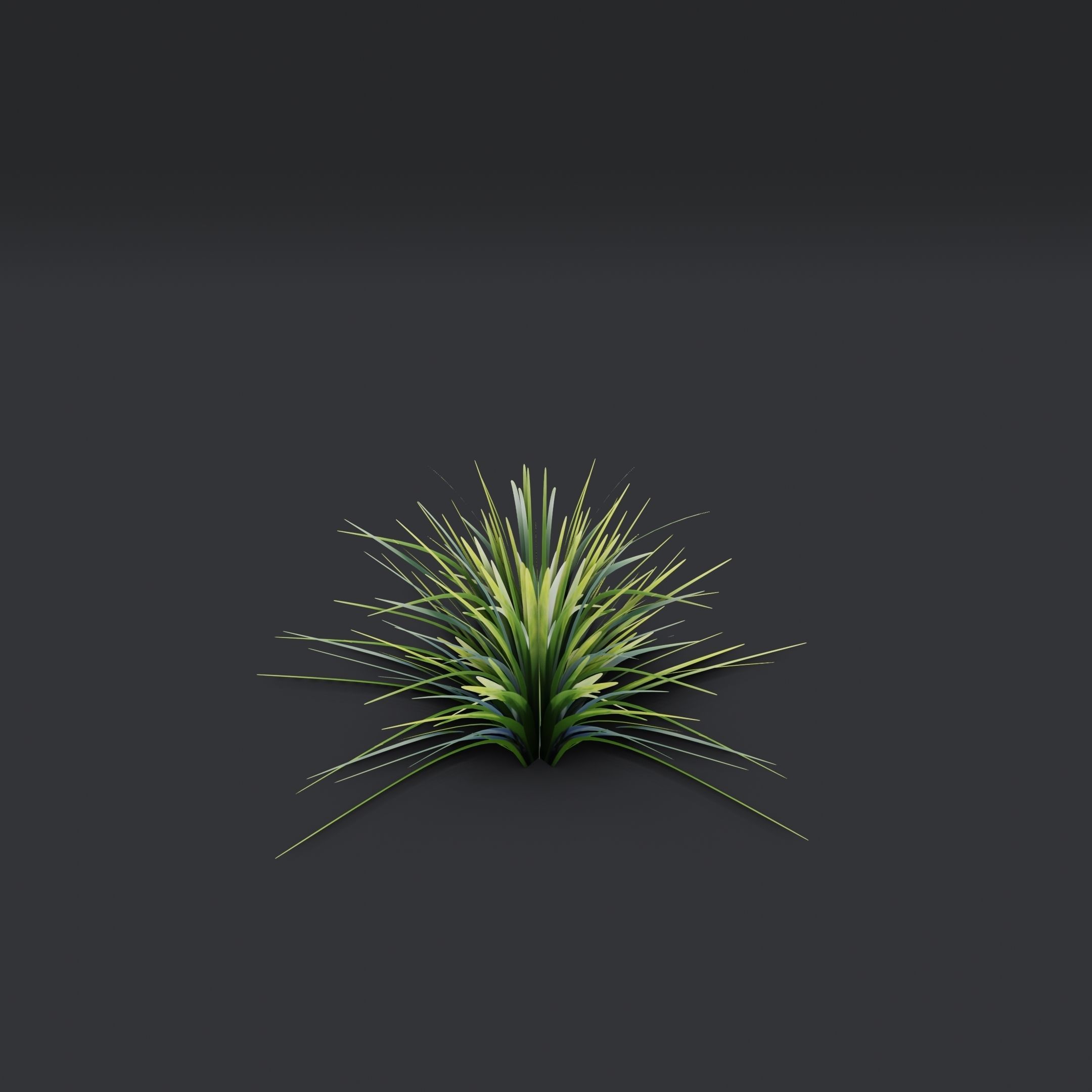 Lowpoly Simple Grass Low-poly 3D model_7