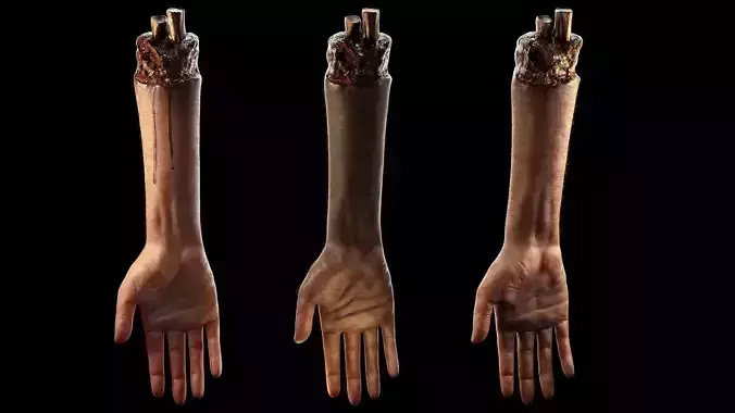 Hand -Arm Severed low poly - Rigged Low-poly 3D model