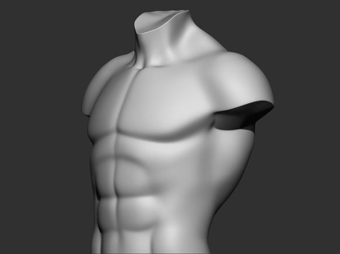 Torso 3d print model male bust 3D print model