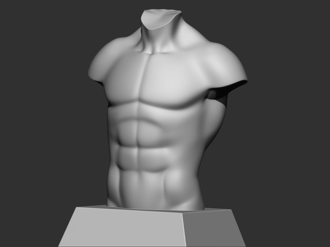 Torso 3d print model male bust 3D print model_2