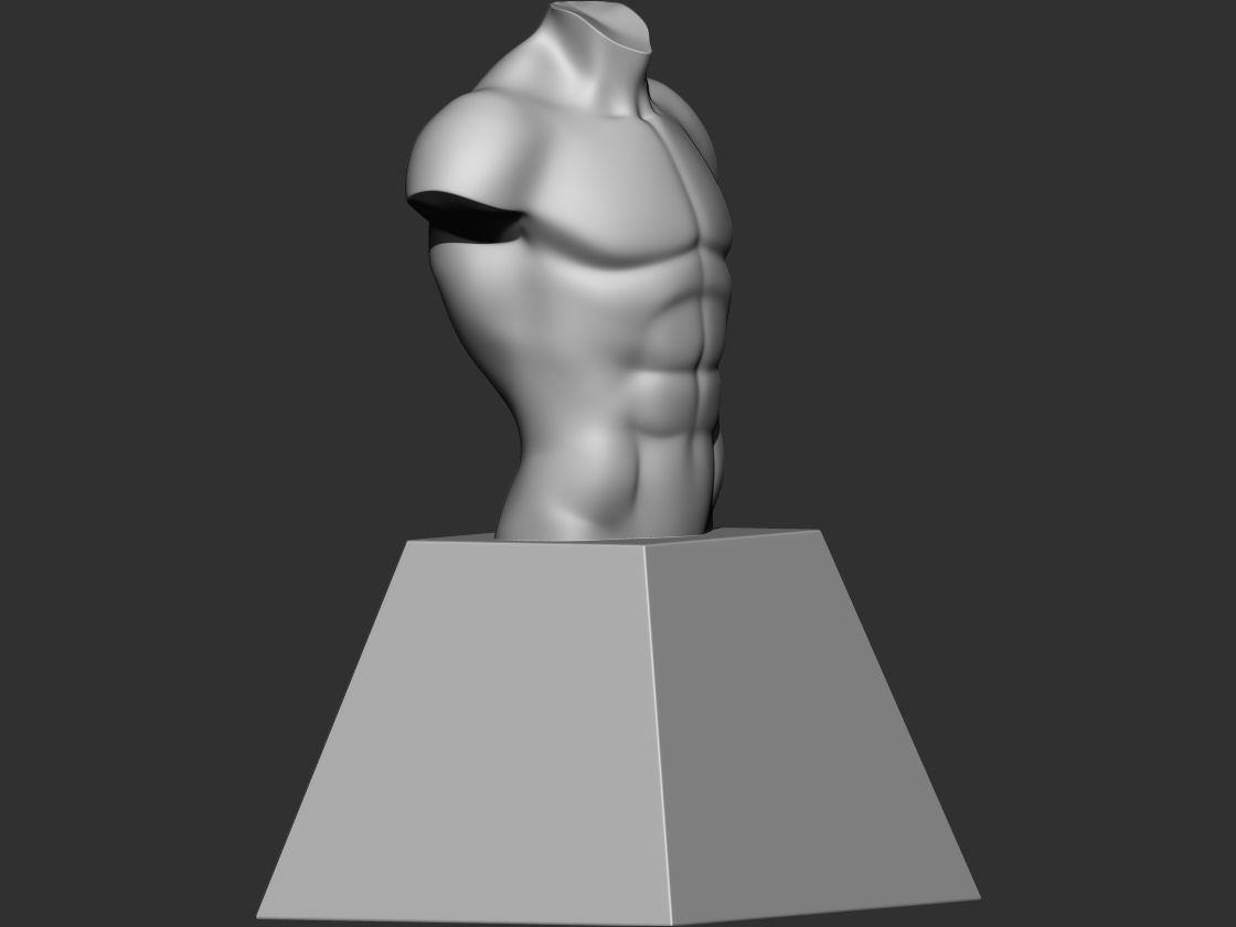 Torso 3d print model male bust 3D print model_1
