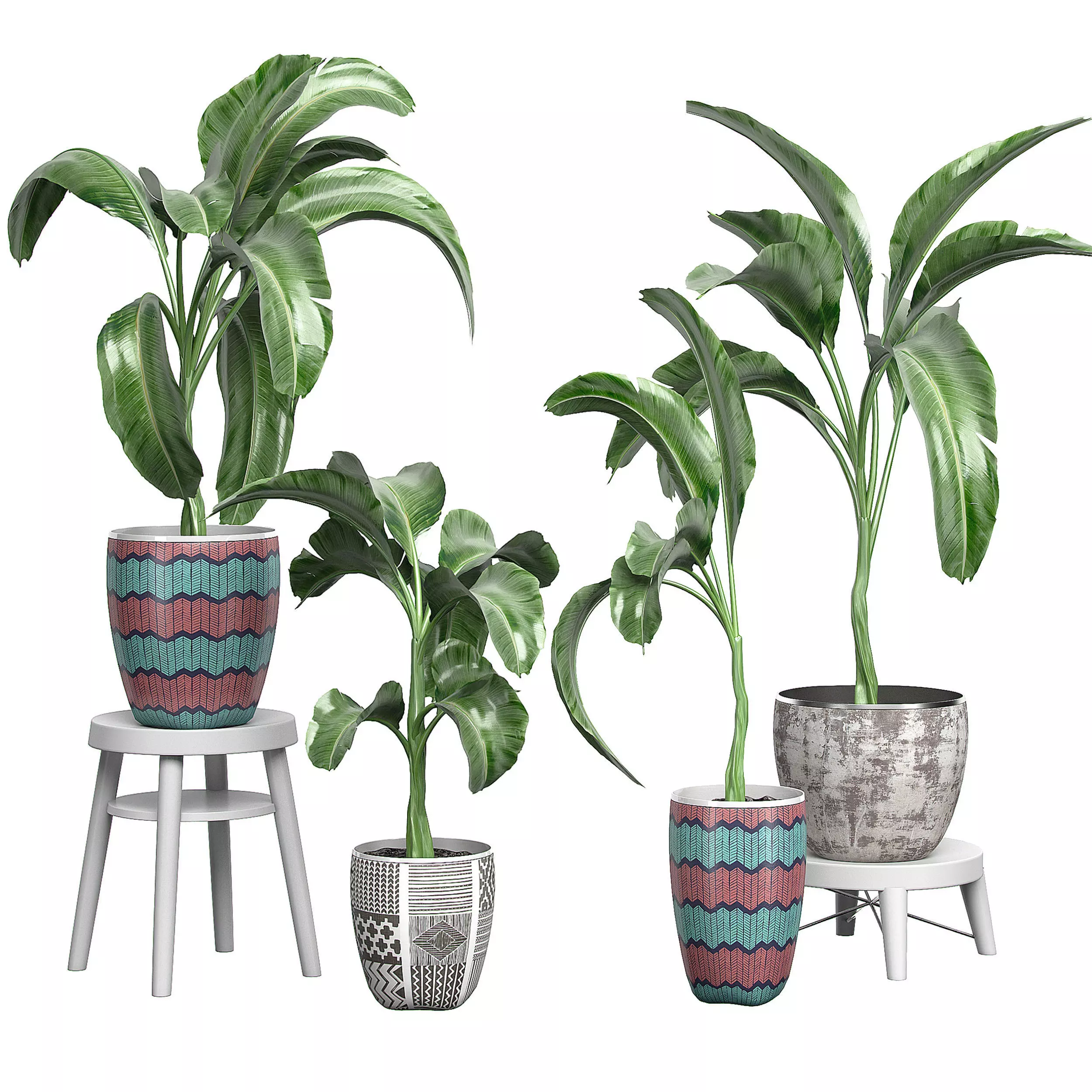 Flower Pack 125 3D model