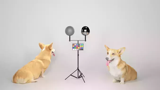 Corgi dog sitting 02 Low-poly 3D model