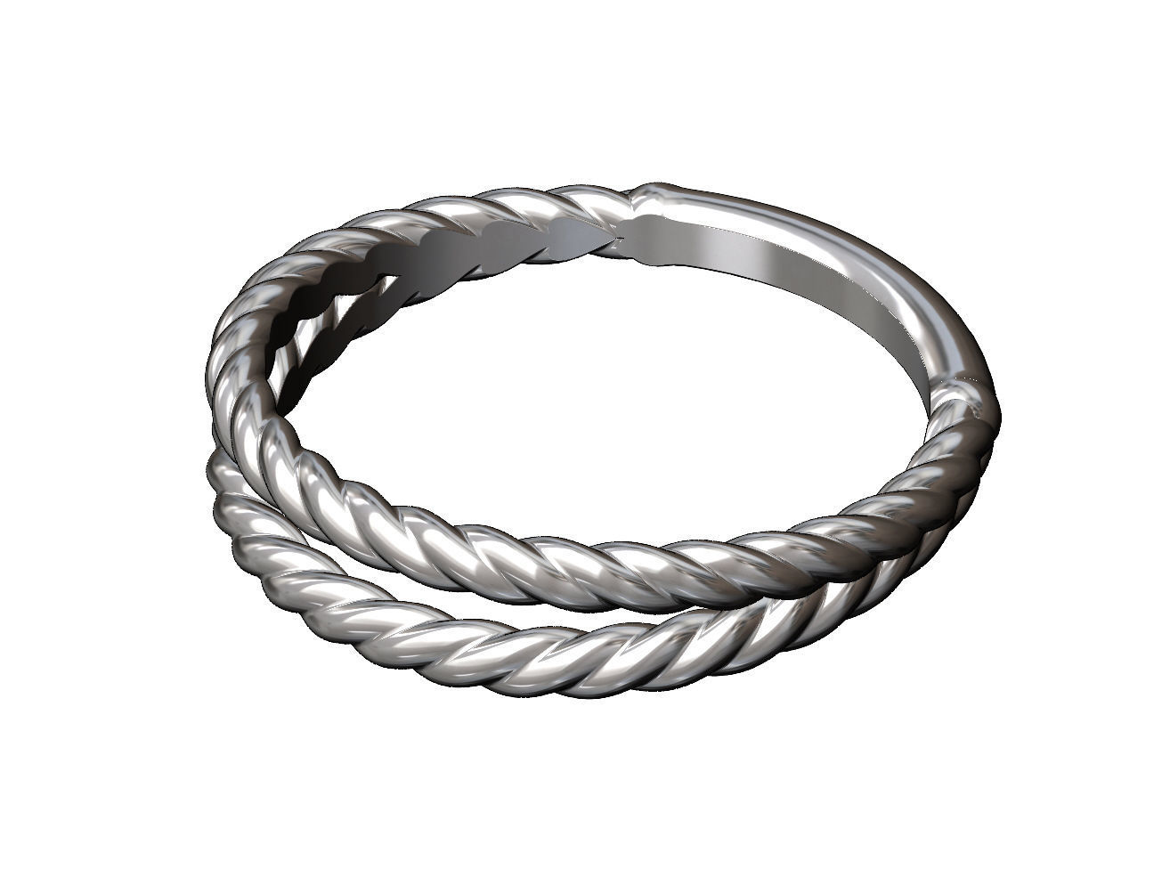 Double row twisted wire ring 3D print model_1