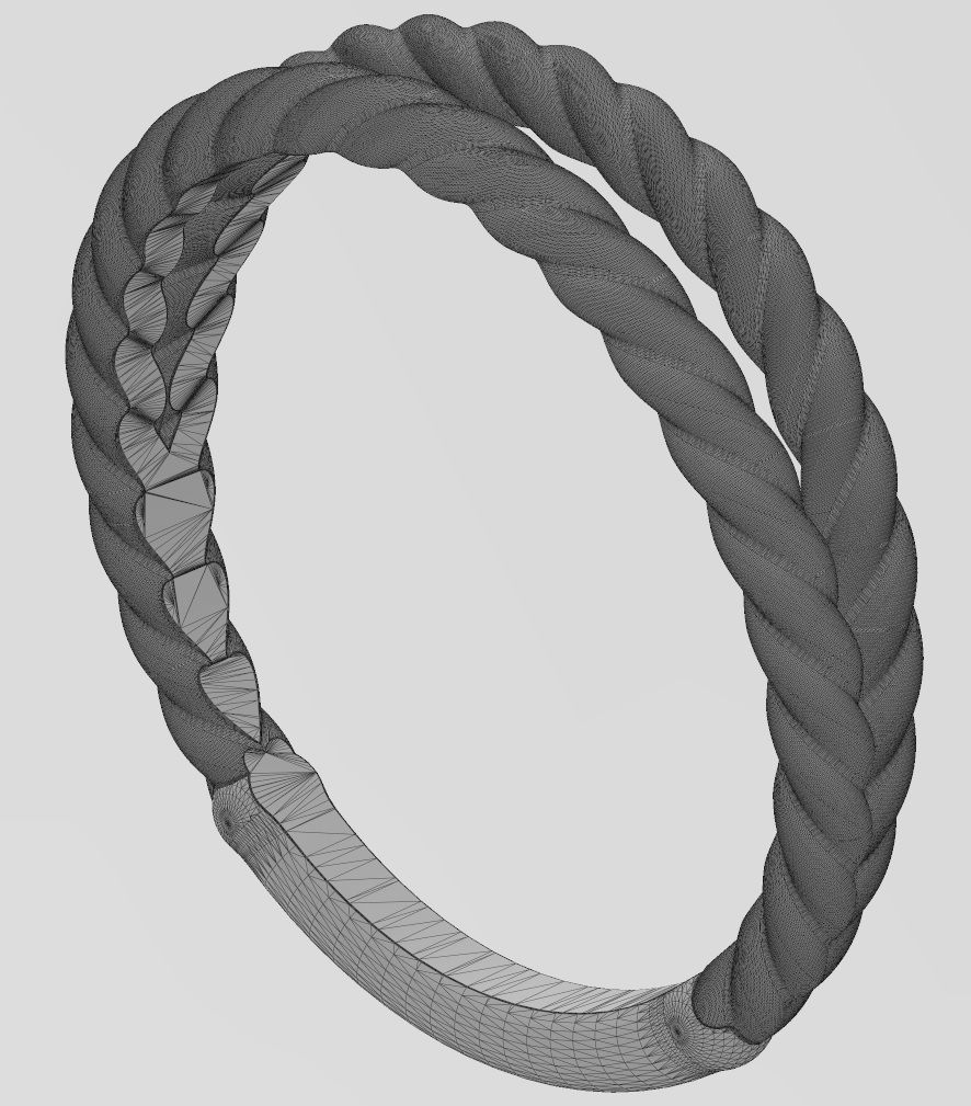 Double row twisted wire ring 3D print model_12