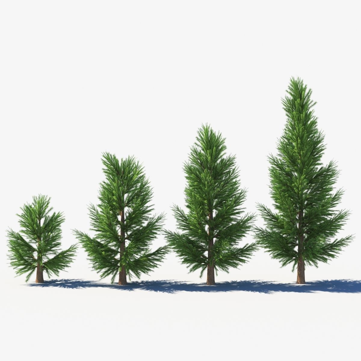 spruce low poly tree Low-poly 3D model_2