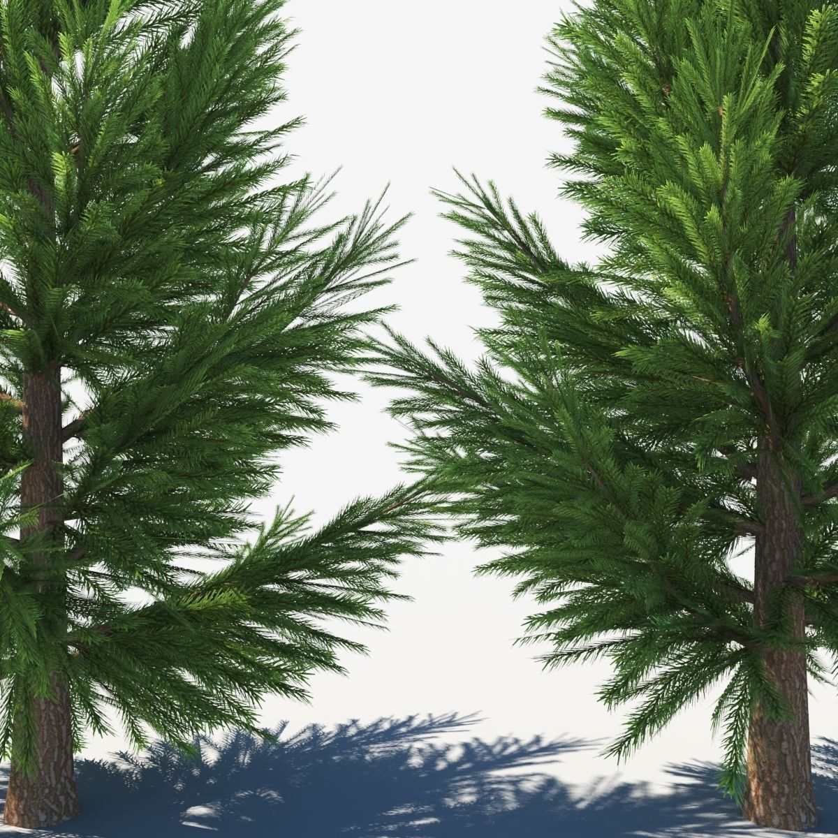 spruce low poly tree Low-poly 3D model_4