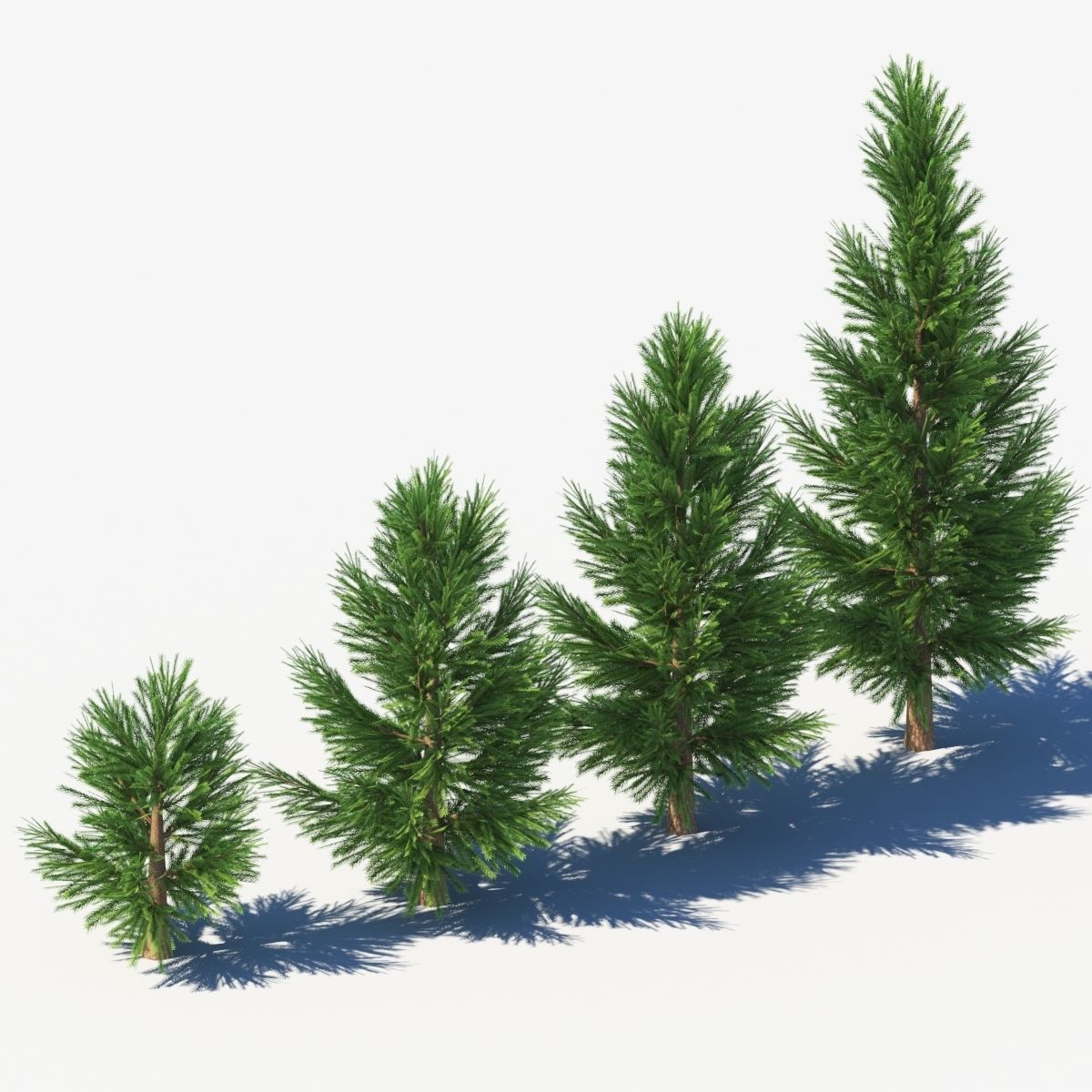 spruce low poly tree Low-poly 3D model_1