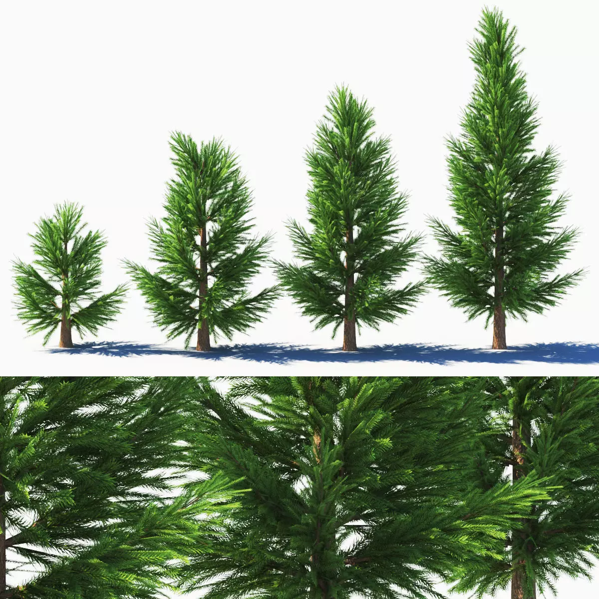 spruce low poly tree Low-poly 3D model_0