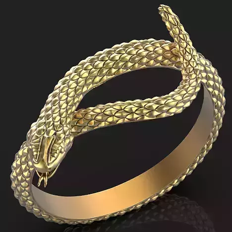 snake ring Silver Gold  Print