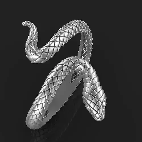 snake ring Silver Gold  Print