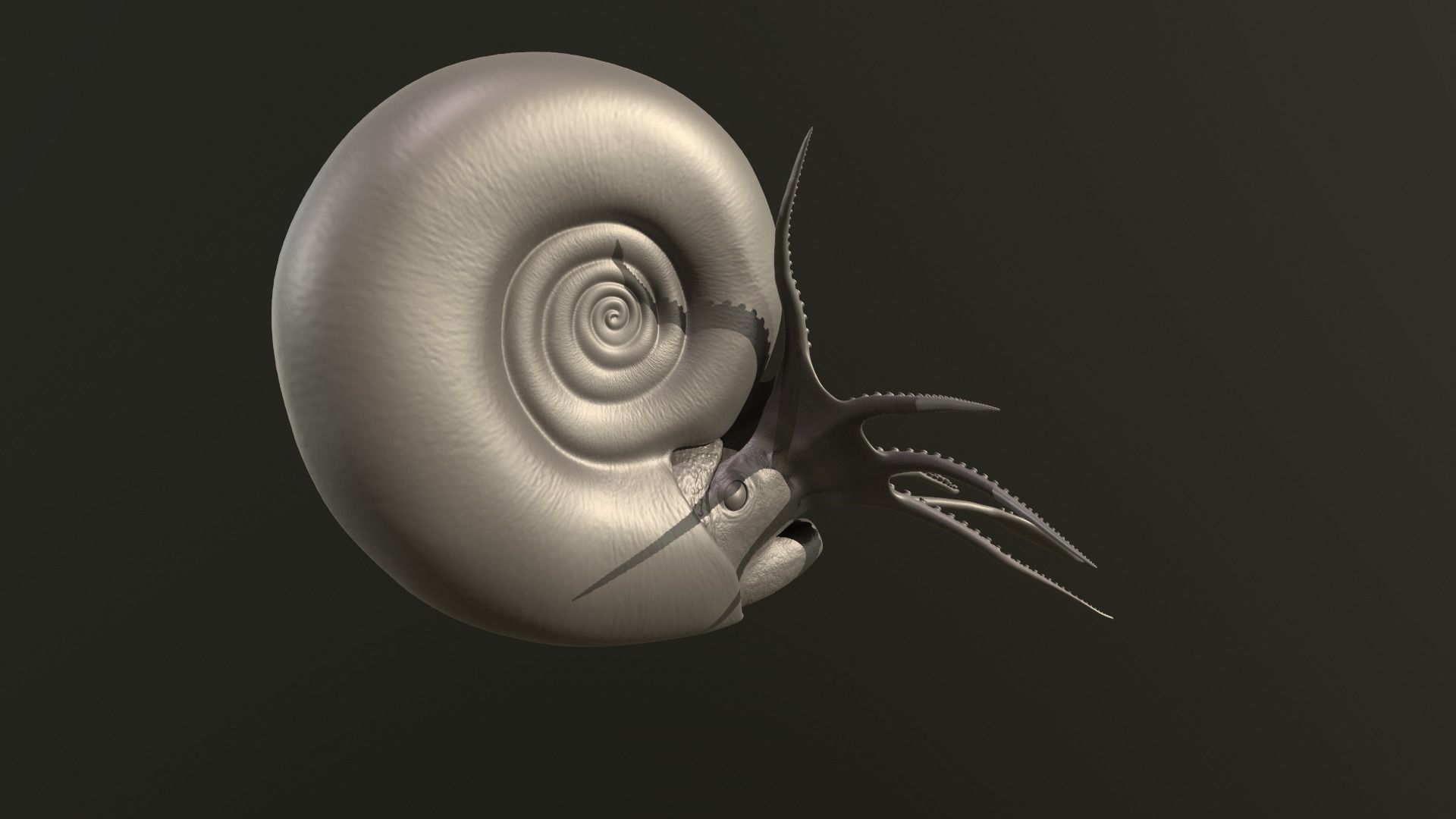 Ammonite Kachpurites fulgens 3D print model_6