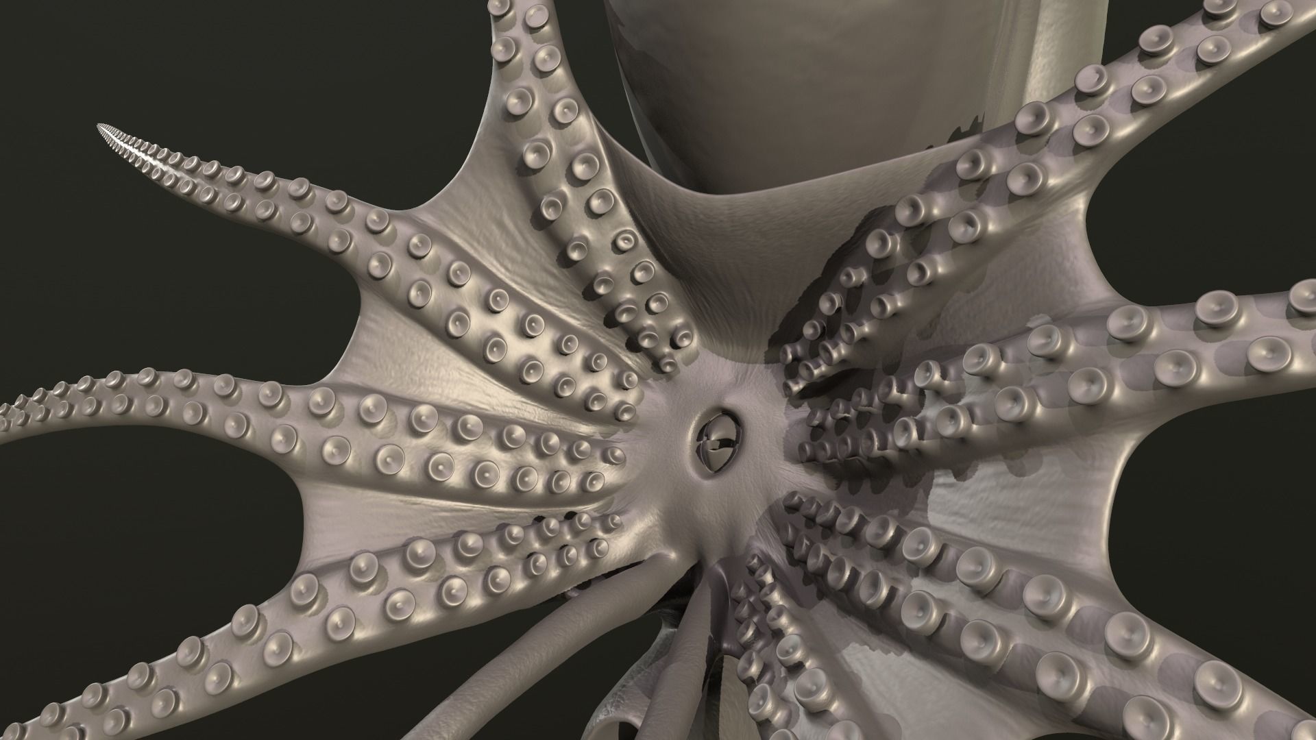 Ammonite Kachpurites fulgens 3D print model_7