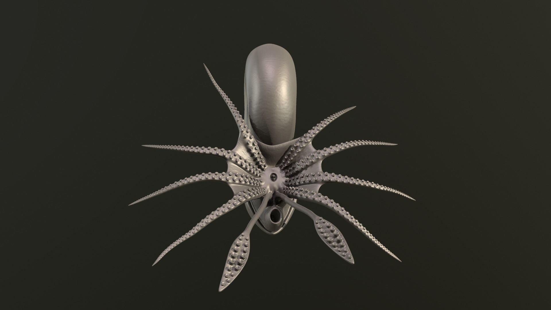 Ammonite Kachpurites fulgens 3D print model_4