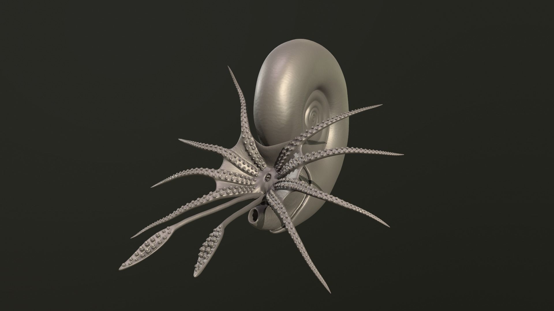 Ammonite Kachpurites fulgens 3D print model_3