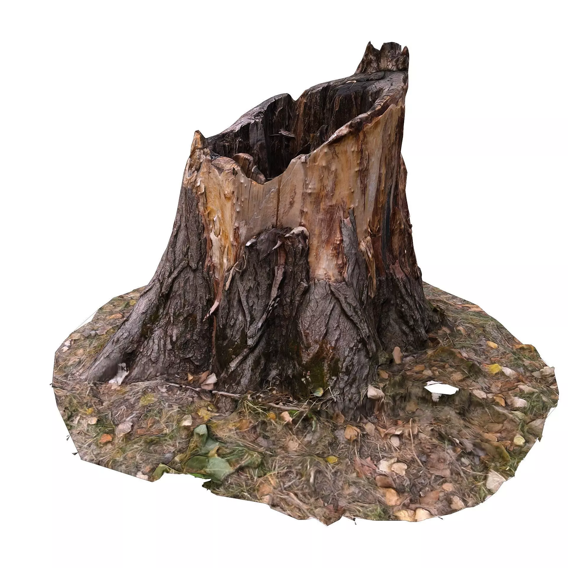 3d scan BPR tree stump 01 Low-poly 3D model