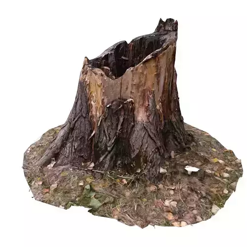 3d scan BPR tree stump 01 Low-poly 3D model