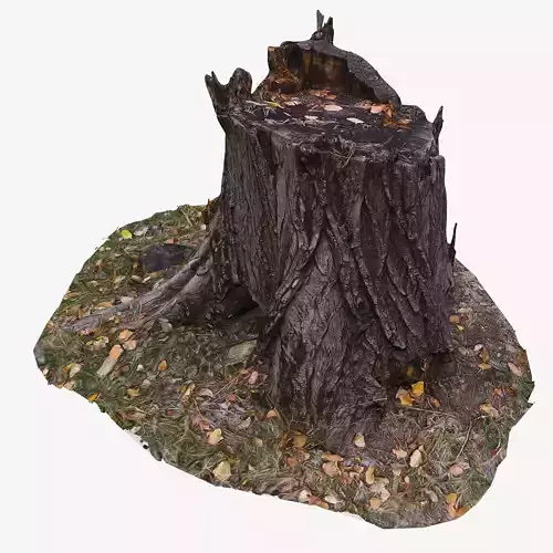 3D scan BPR tree stump 02 Low-poly 3D model