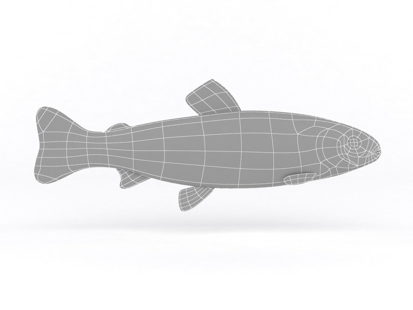 Fresh Char Fish 3D model_5