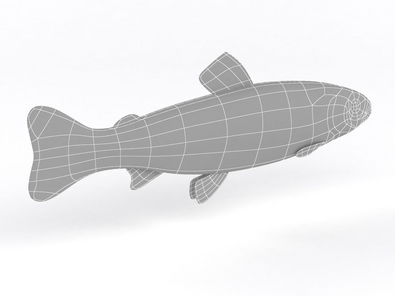 Fresh Char Fish 3D model_9