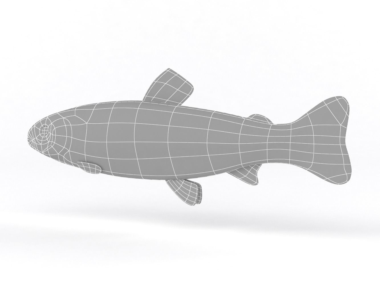 Fresh Char Fish 3D model_8