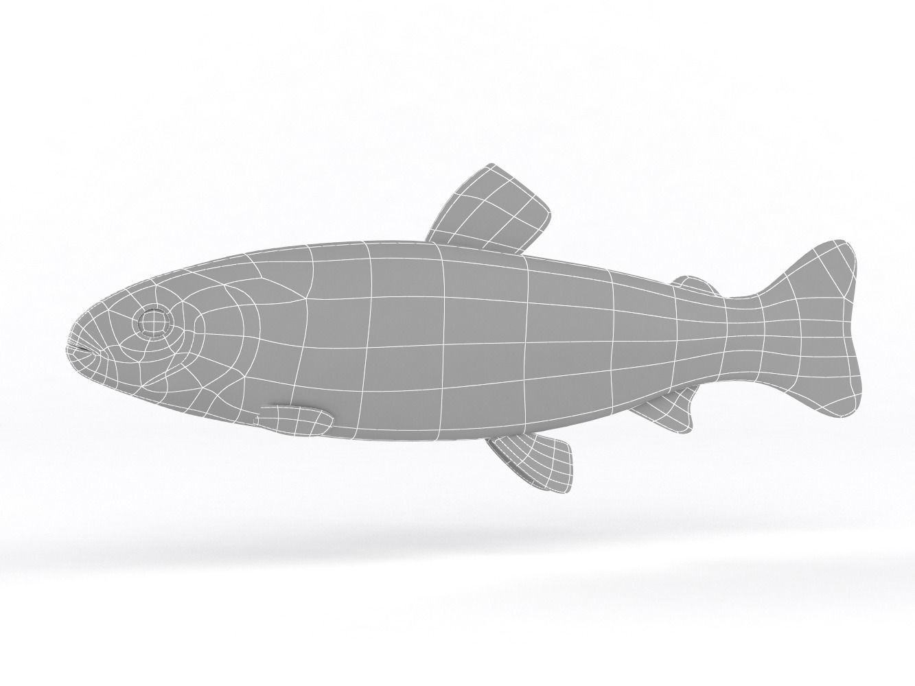 Fresh Char Fish 3D model_7