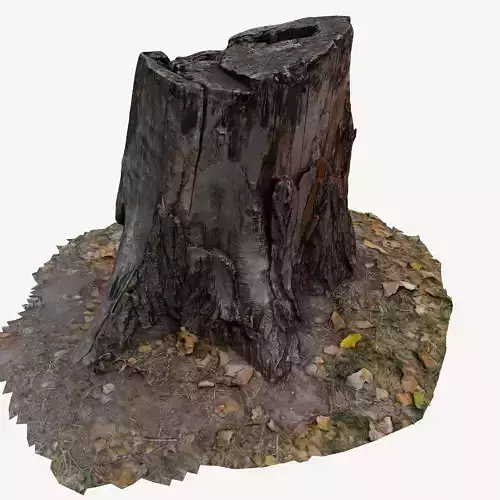 3D scan BPR tree stump 03