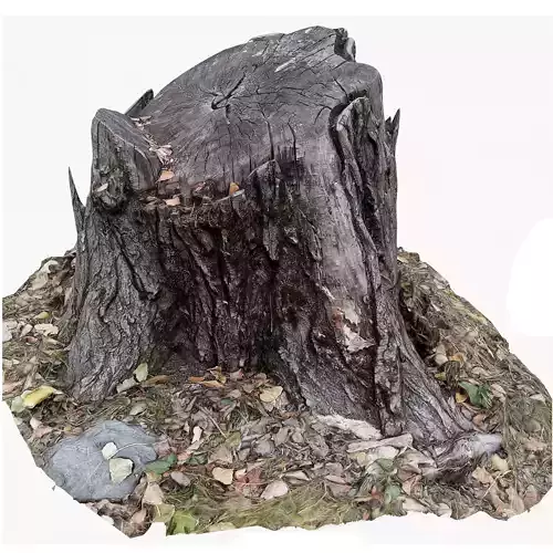 3d scan BPR tree stump 04 Low-poly 3D model