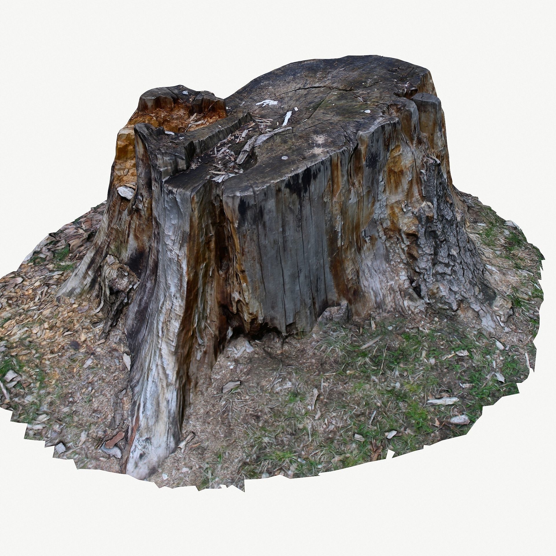 3d scan BPR tree stump 05 Low-poly 3D model_2