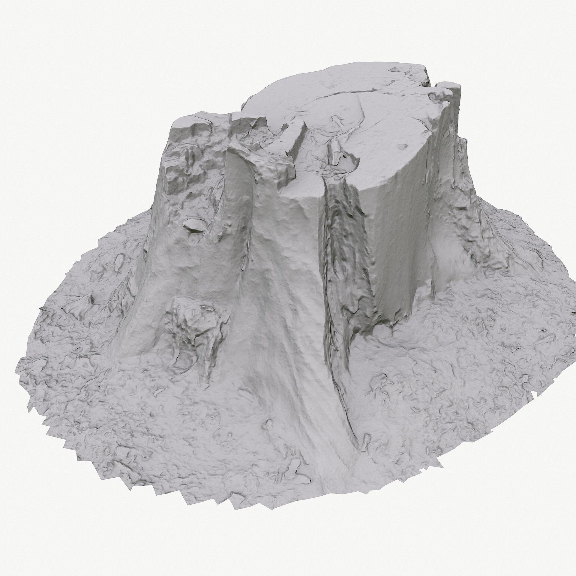 3d scan BPR tree stump 05 Low-poly 3D model_11