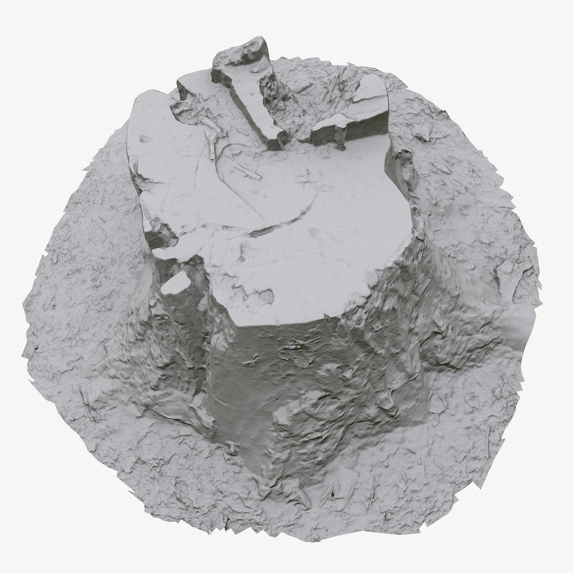 3d scan BPR tree stump 05 Low-poly 3D model_15