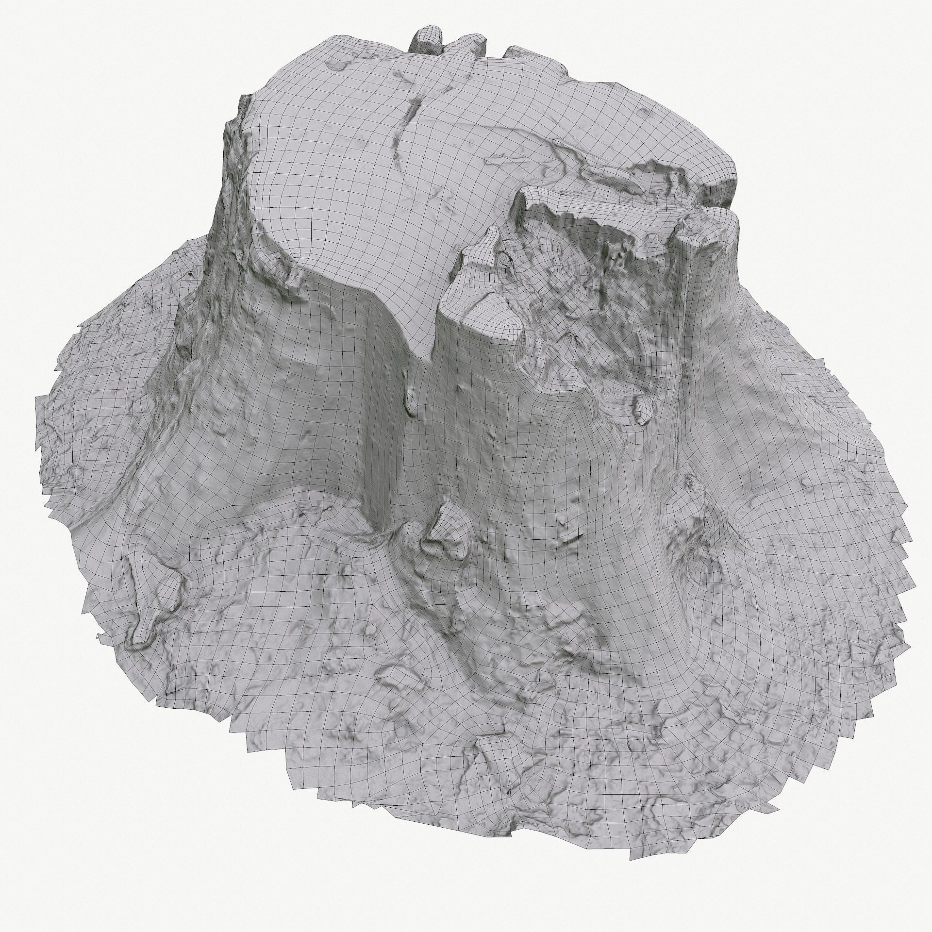 3d scan BPR tree stump 05 Low-poly 3D model_18