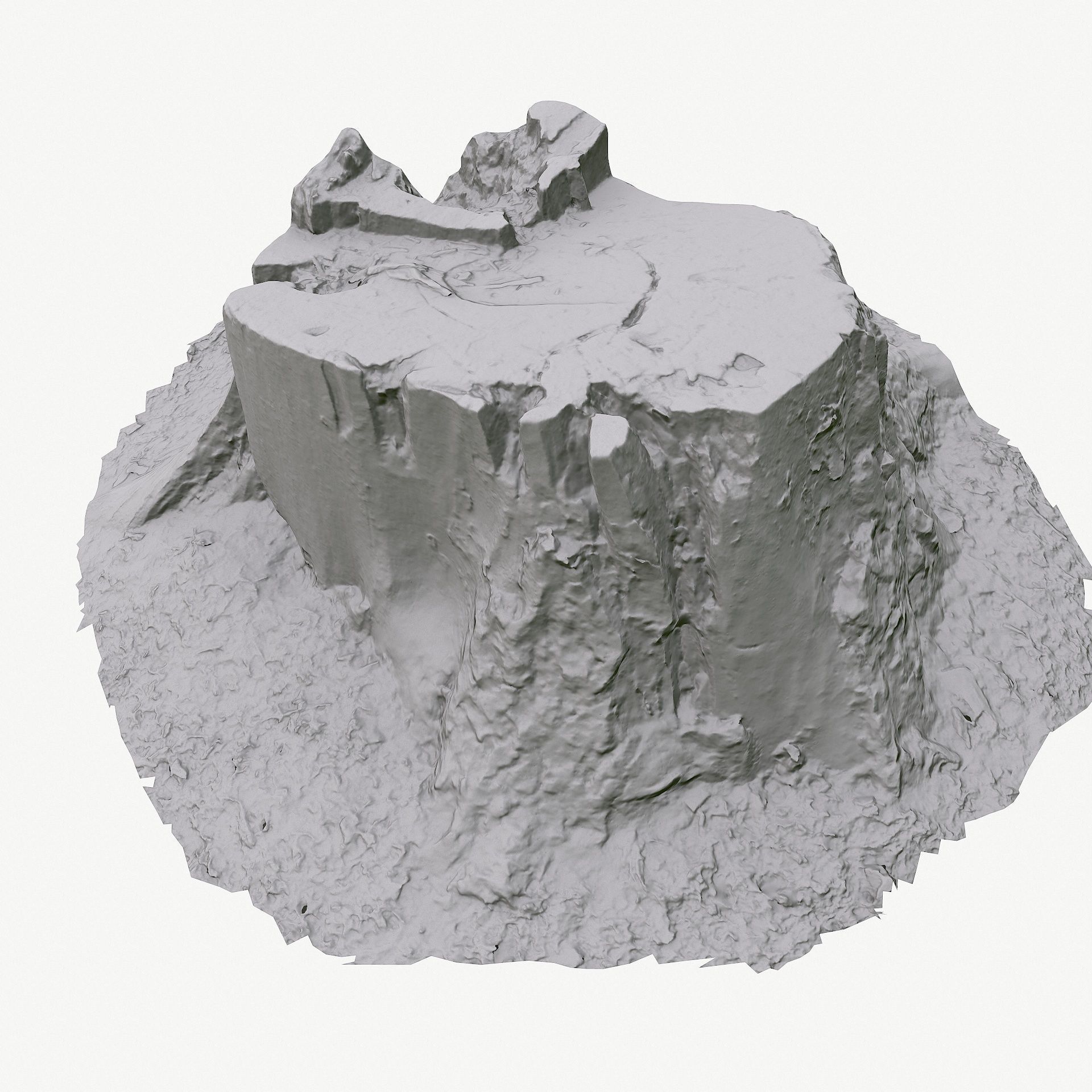 3d scan BPR tree stump 05 Low-poly 3D model_14