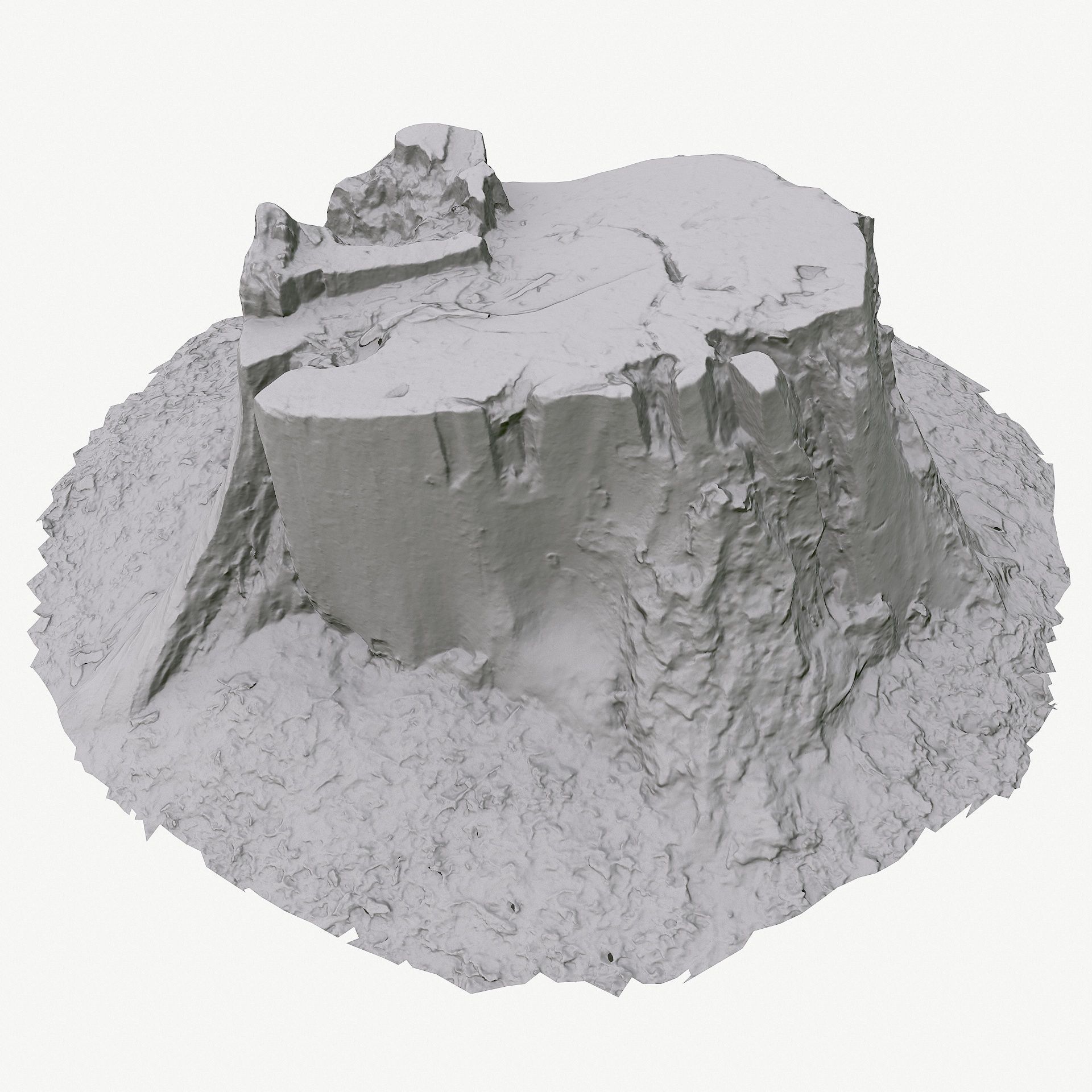 3d scan BPR tree stump 05 Low-poly 3D model_13