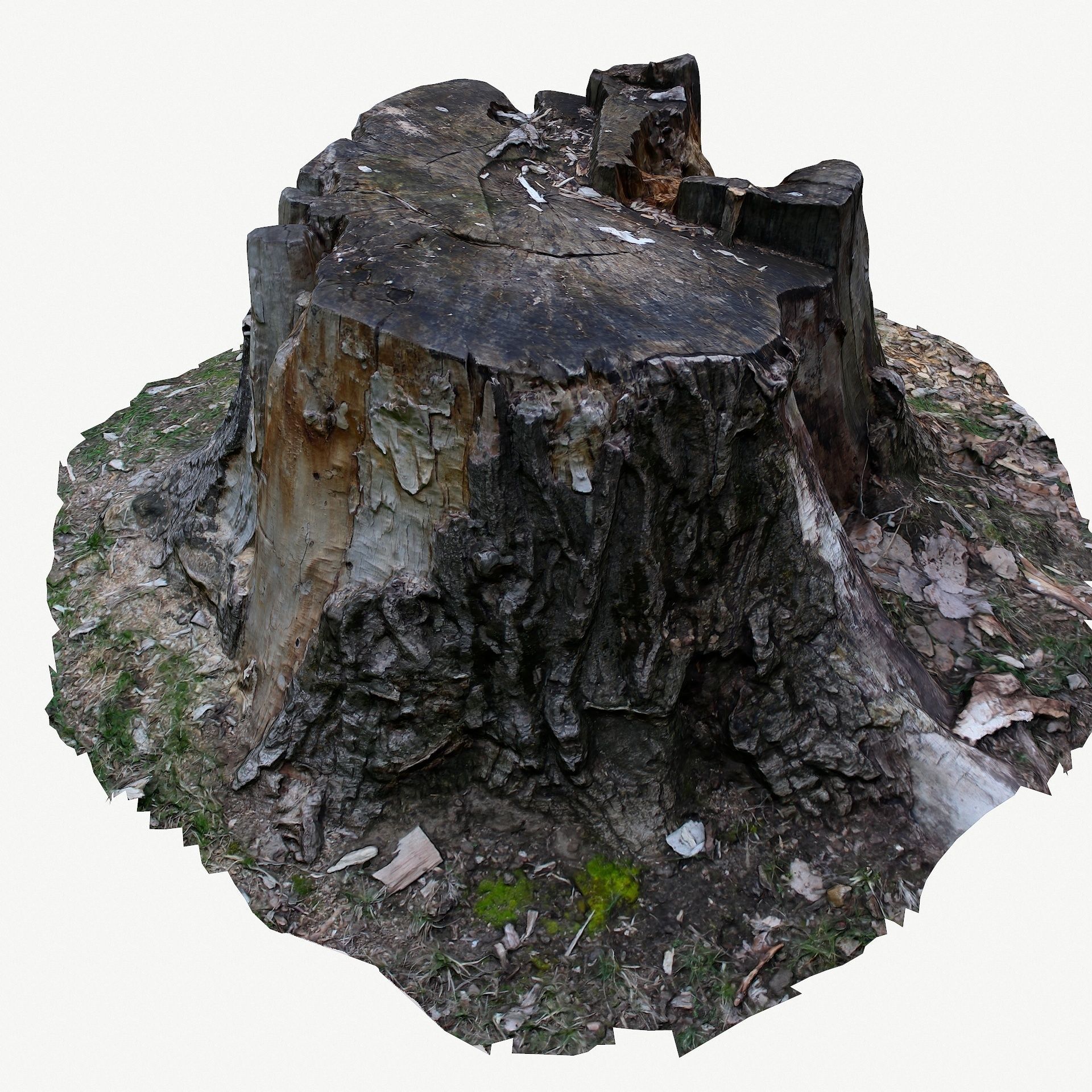 3d scan BPR tree stump 05 Low-poly 3D model_6