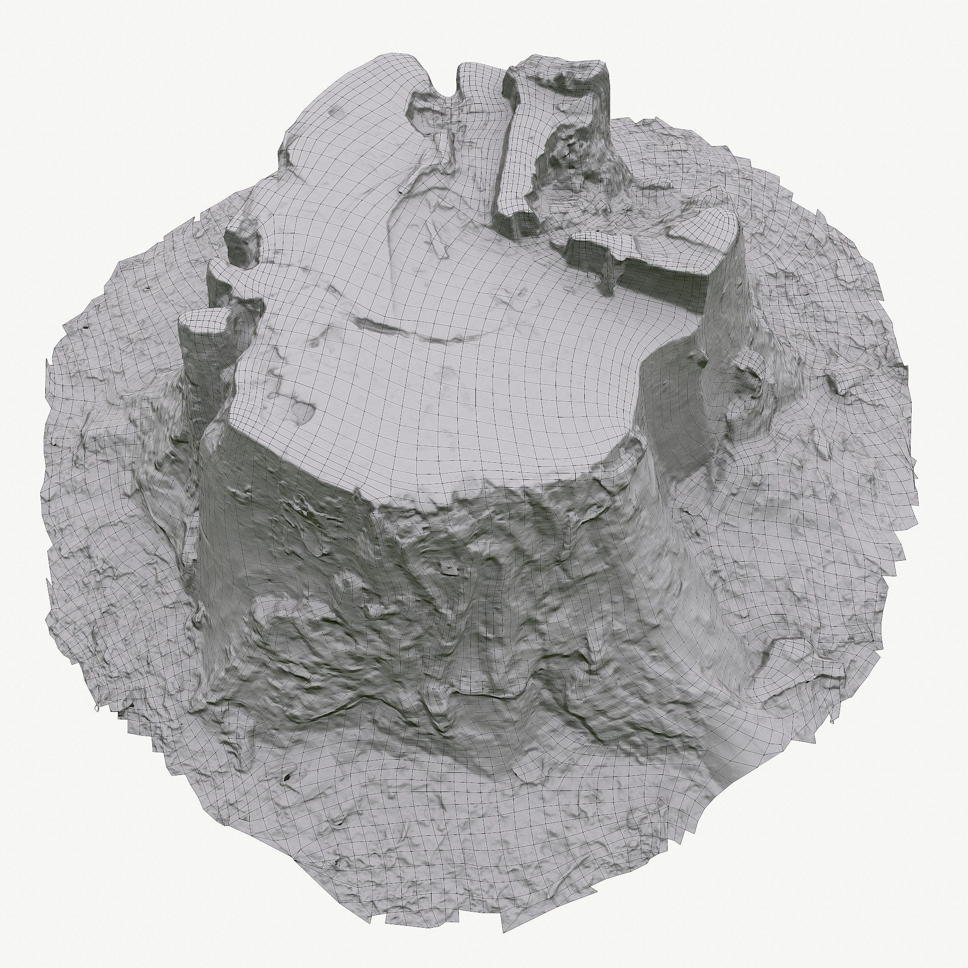 3d scan BPR tree stump 05 Low-poly 3D model_16