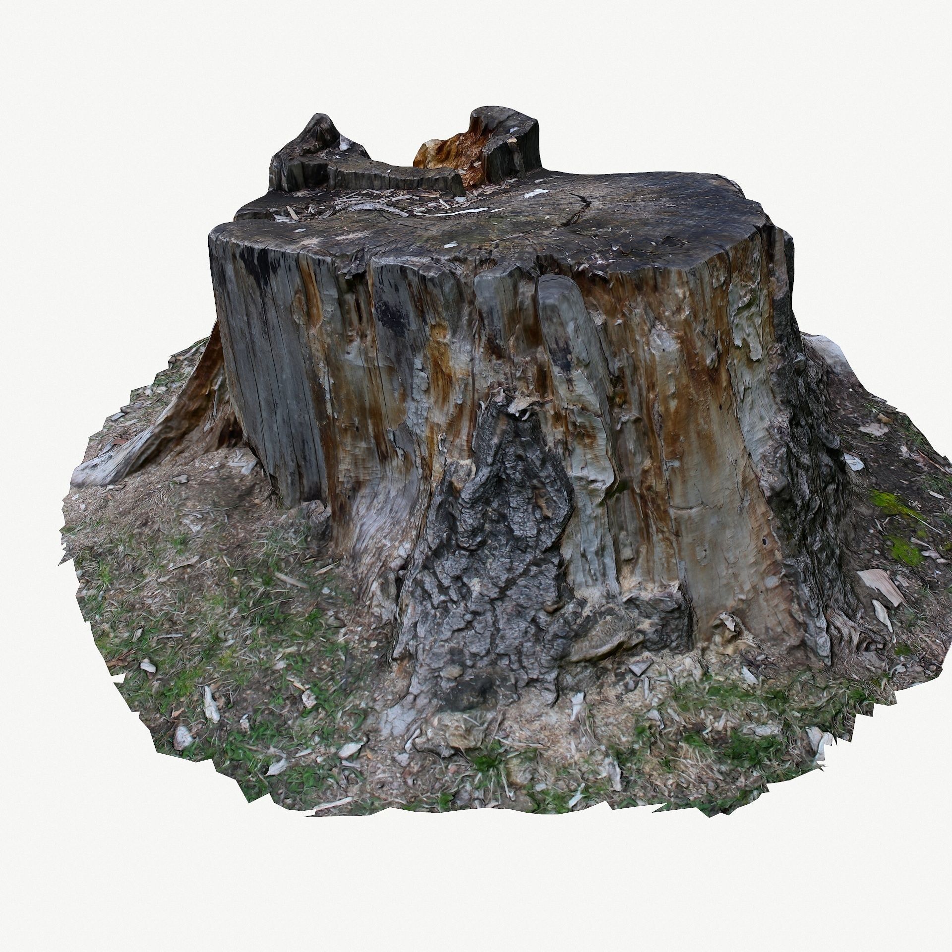 3d scan BPR tree stump 05 Low-poly 3D model_4