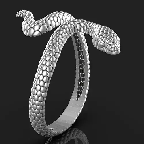 snake ring Silver Gold  Print