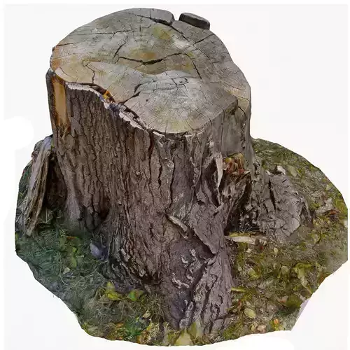 3d scan BPR tree stump 07