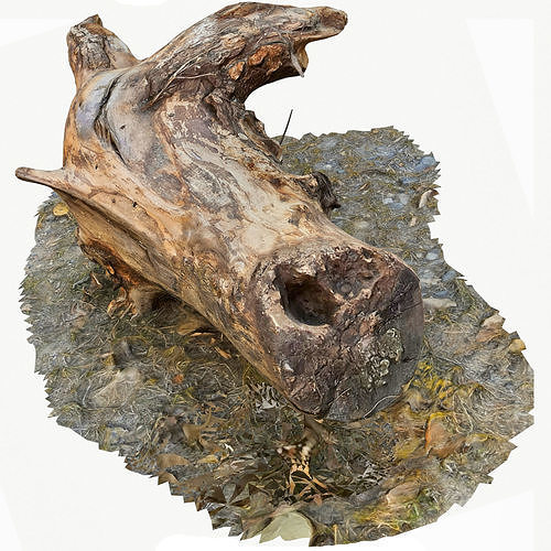 3d scan BPR tree stump 08 Low-poly 3D model