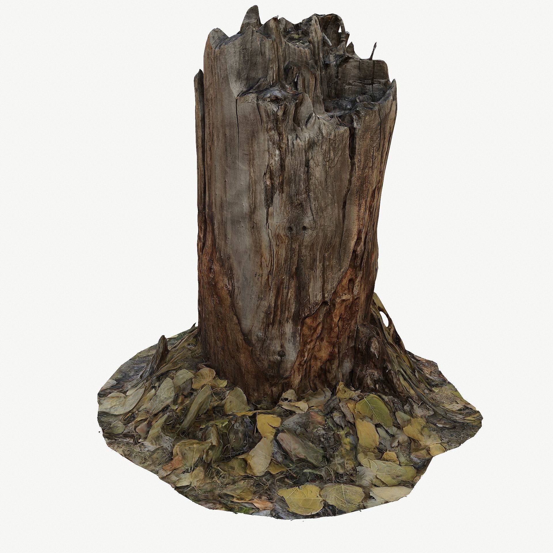 3d scan BPR tree stump 09 Low-poly 3D model_3