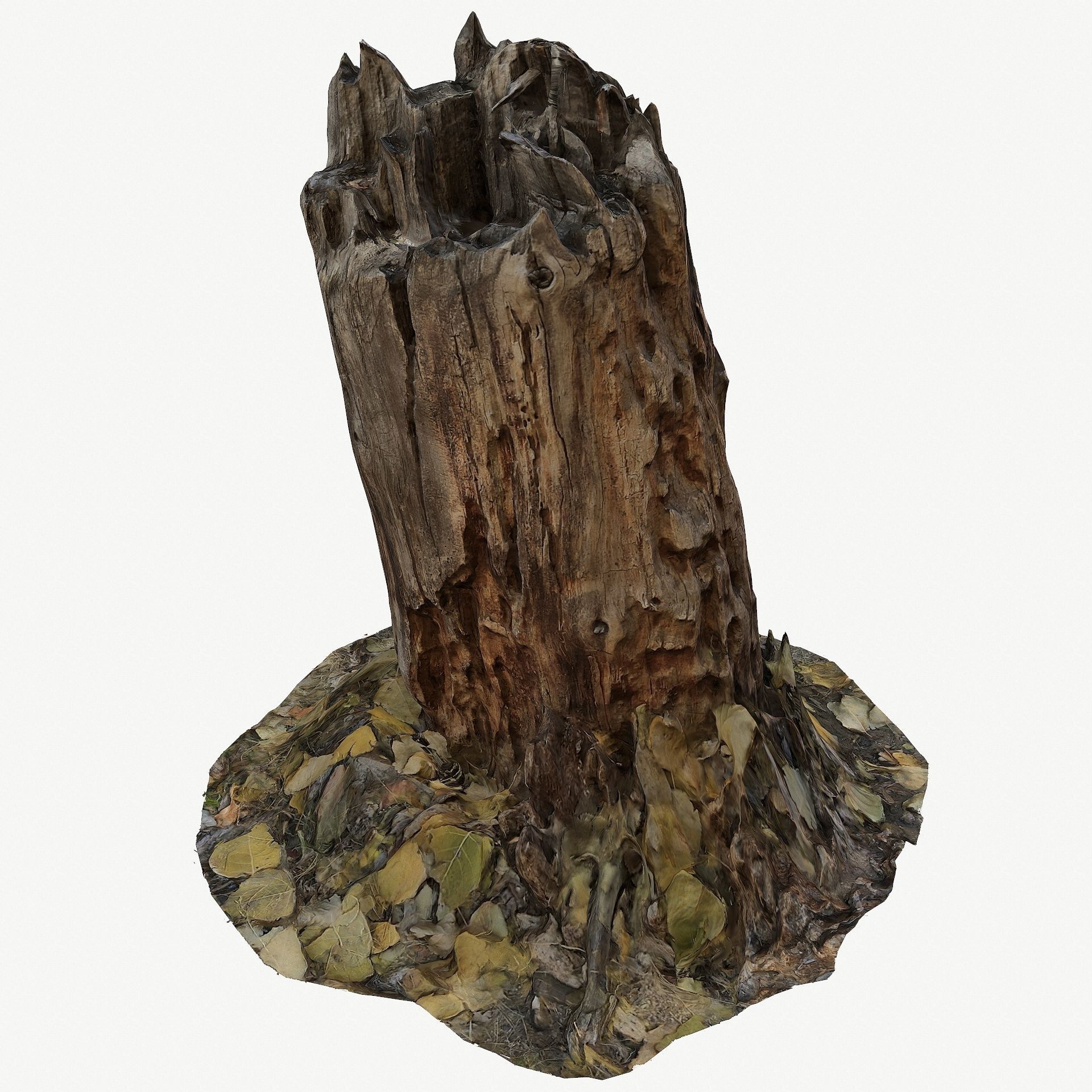3d scan BPR tree stump 09 Low-poly 3D model_2