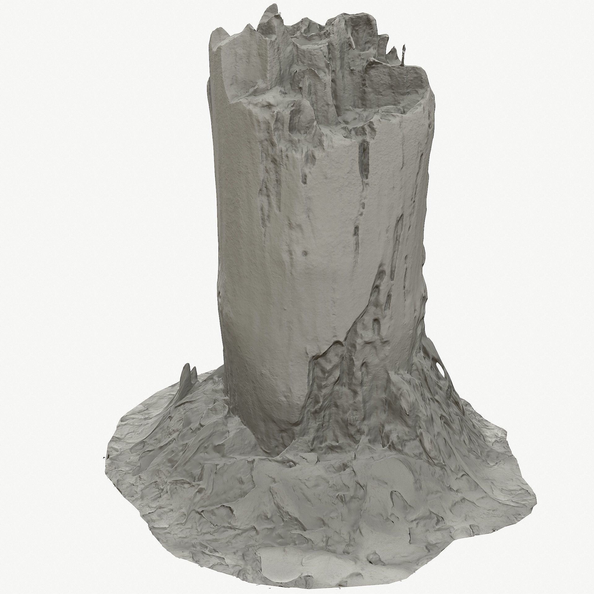 3d scan BPR tree stump 09 Low-poly 3D model_15