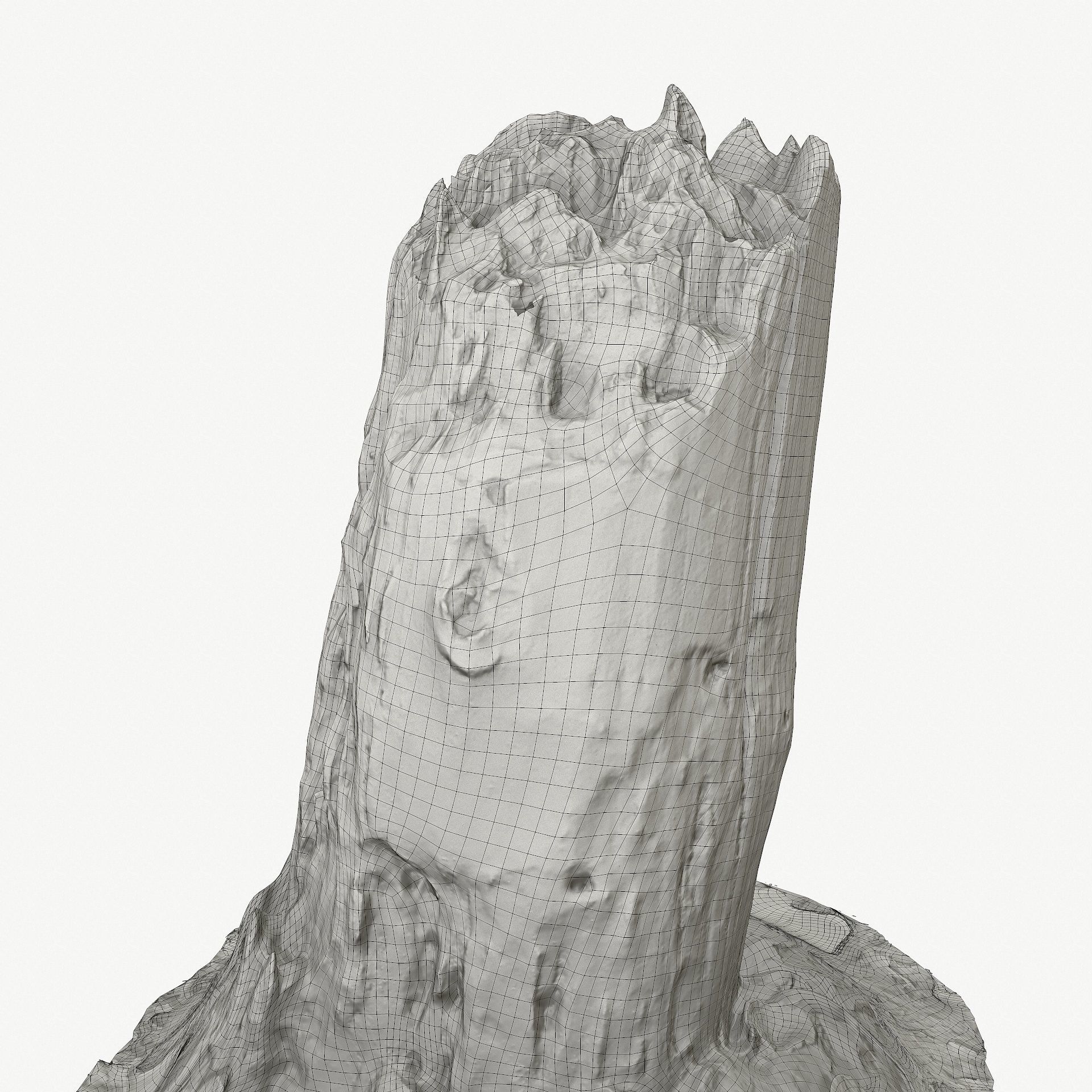 3d scan BPR tree stump 09 Low-poly 3D model_24