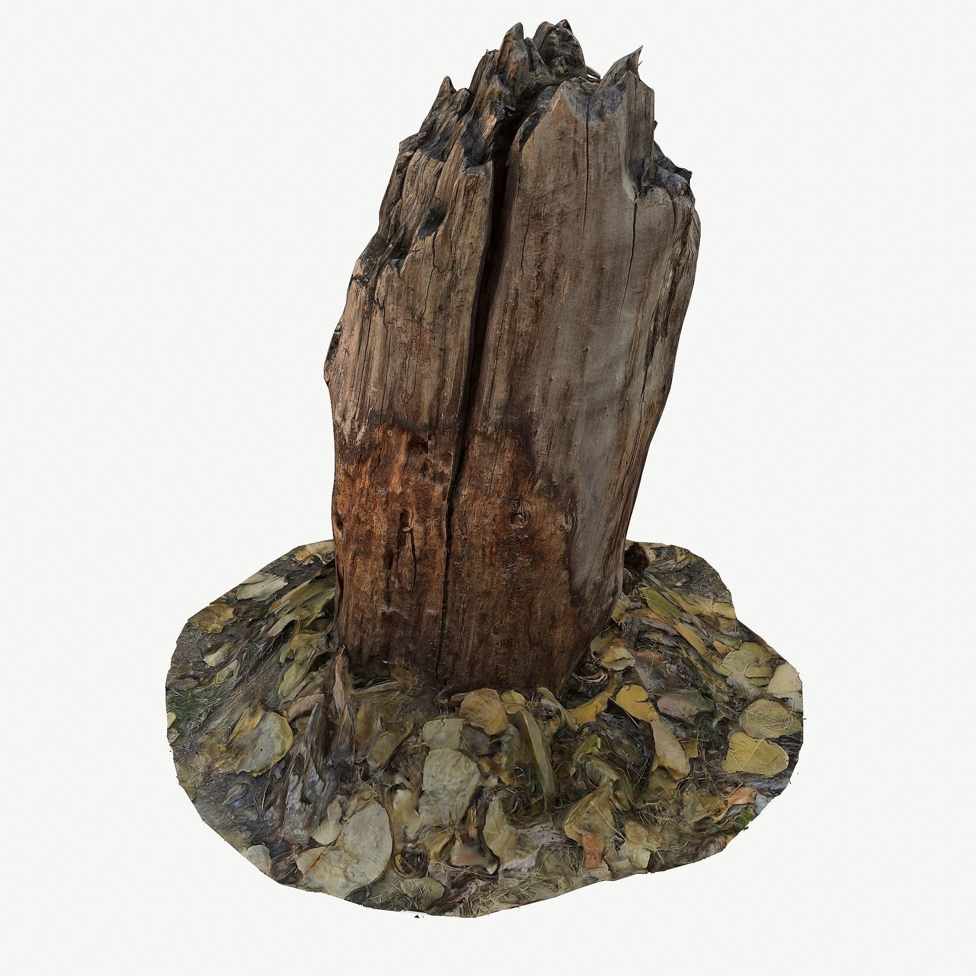 3d scan BPR tree stump 09 Low-poly 3D model_4