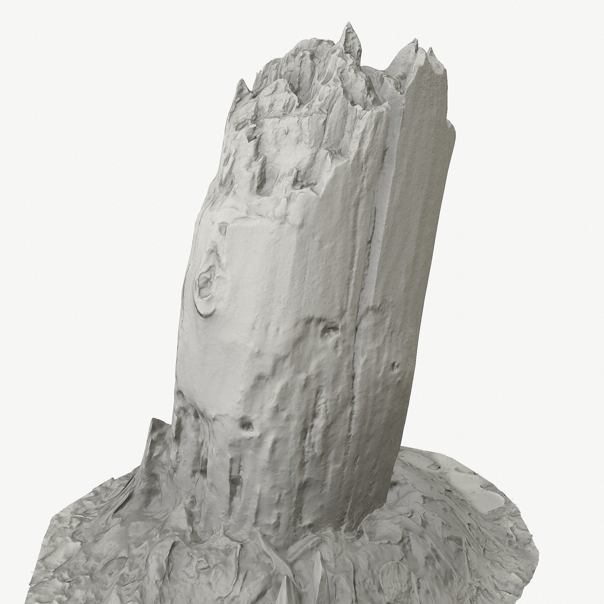 3d scan BPR tree stump 09 Low-poly 3D model_13