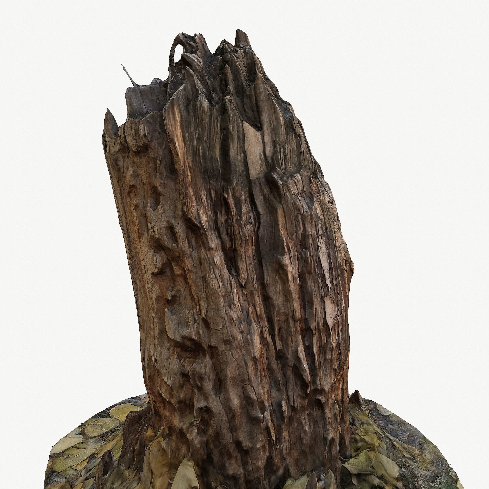 3d scan BPR tree stump 09 Low-poly 3D model_8
