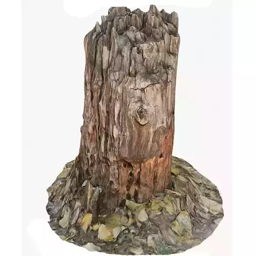 3d scan BPR tree stump 09 Low-poly 3D model