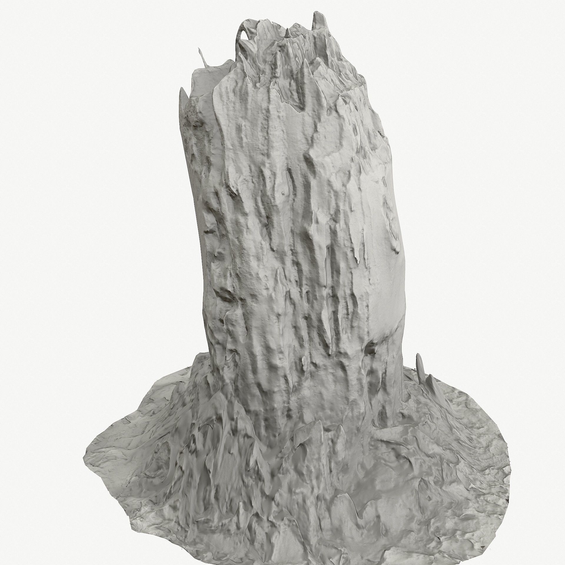 3d scan BPR tree stump 09 Low-poly 3D model_17